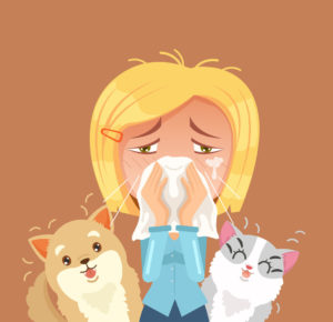 Allergie voor honden