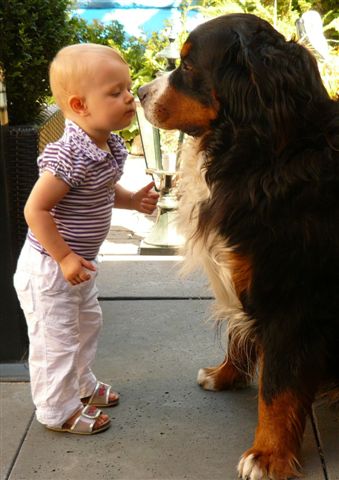 Kinderen zorgen graag voor een hond