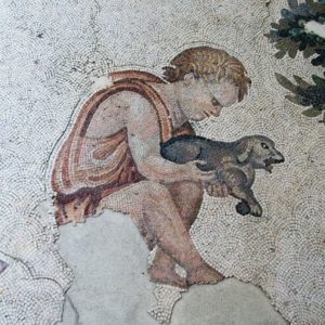 Romeinse tijd honden